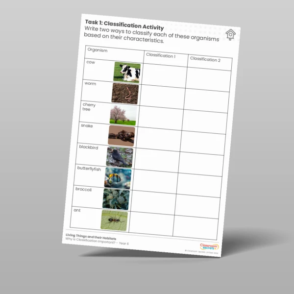 An image of the Lesson 1: Classification Activity Worksheet Resource