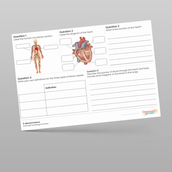 An image of the Animals including Humans 5-Minute Science Resource