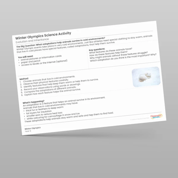 An image of the Winter Olympics Science Experiments Resource