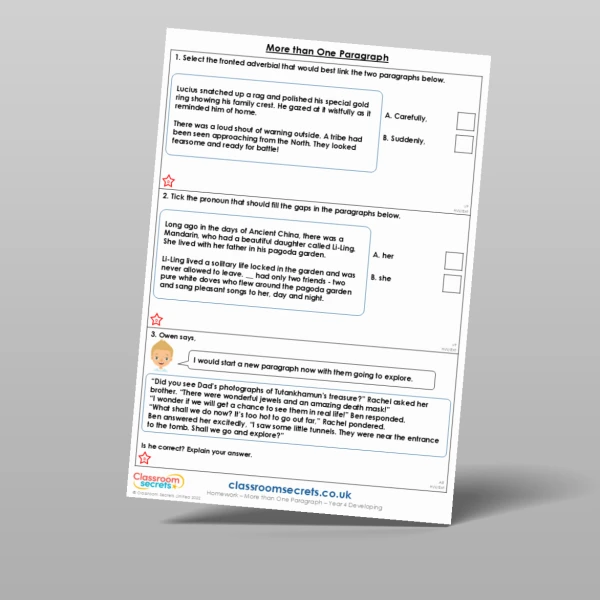 An image of the More than One Paragraph Homework Resource