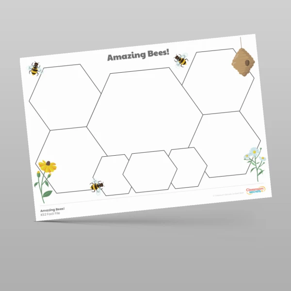 An image of the Amazing Bees Fact File Resource