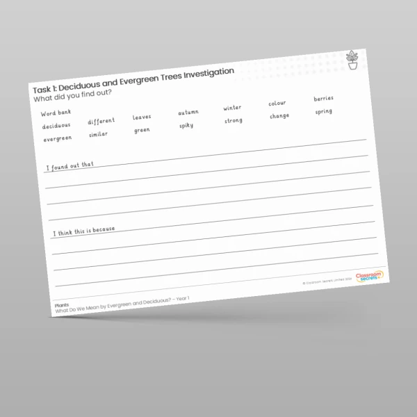 An image of the Lesson 4: Deciduous and Evergreen Trees Investigation Worksheet Resource