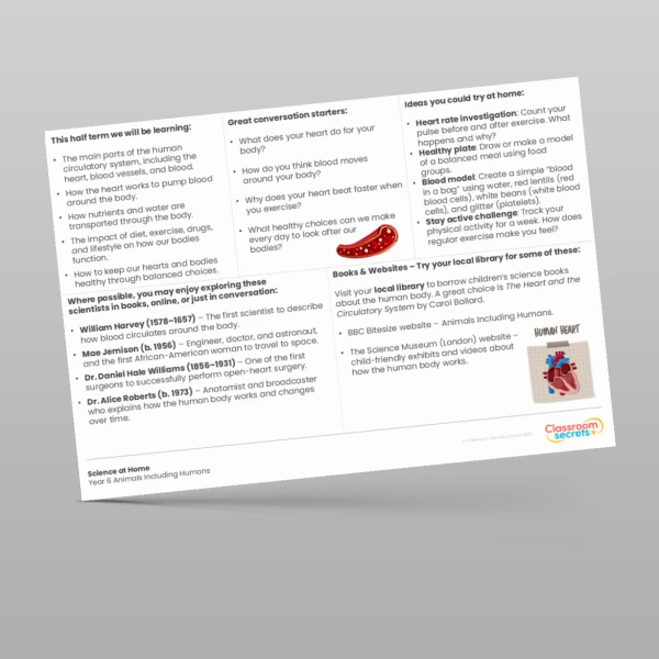 An image of the Animals Including Humans Science at Home Resource