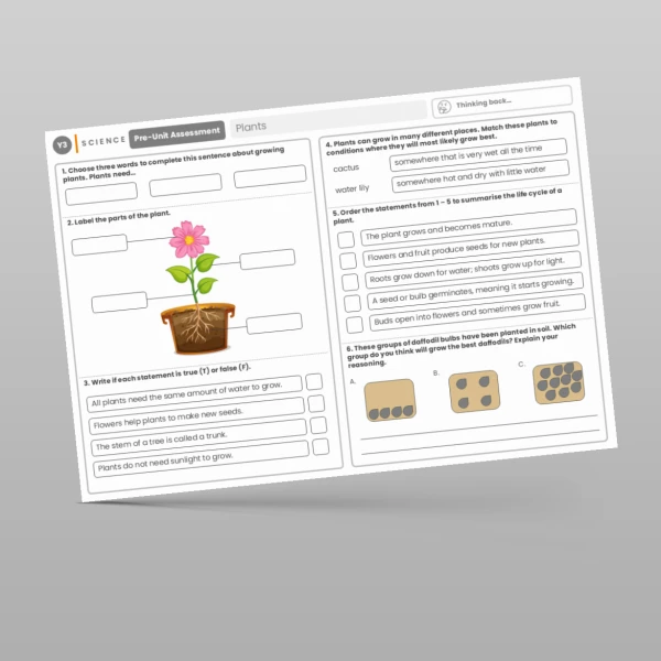 An image of the Plants Pre-Unit Assessment Resource