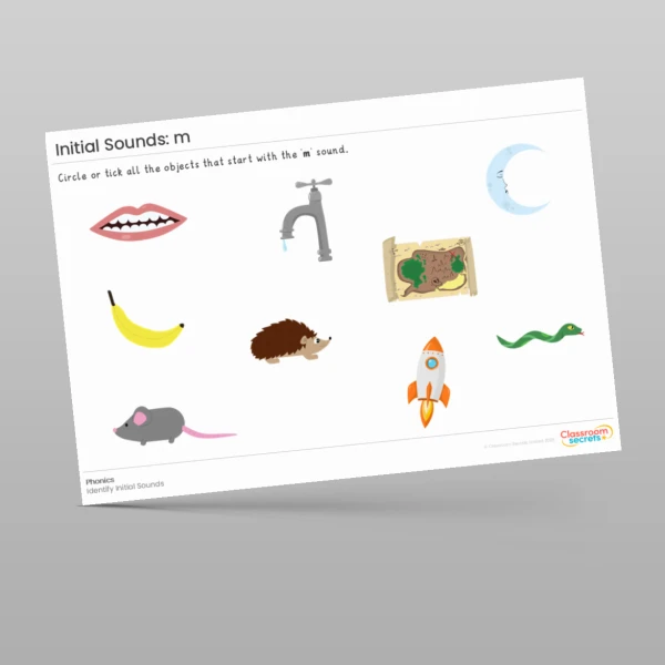An image of the Initial Sounds Worksheet: m Resource