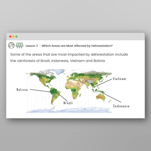 An image of the Deforestation Lessons Resource