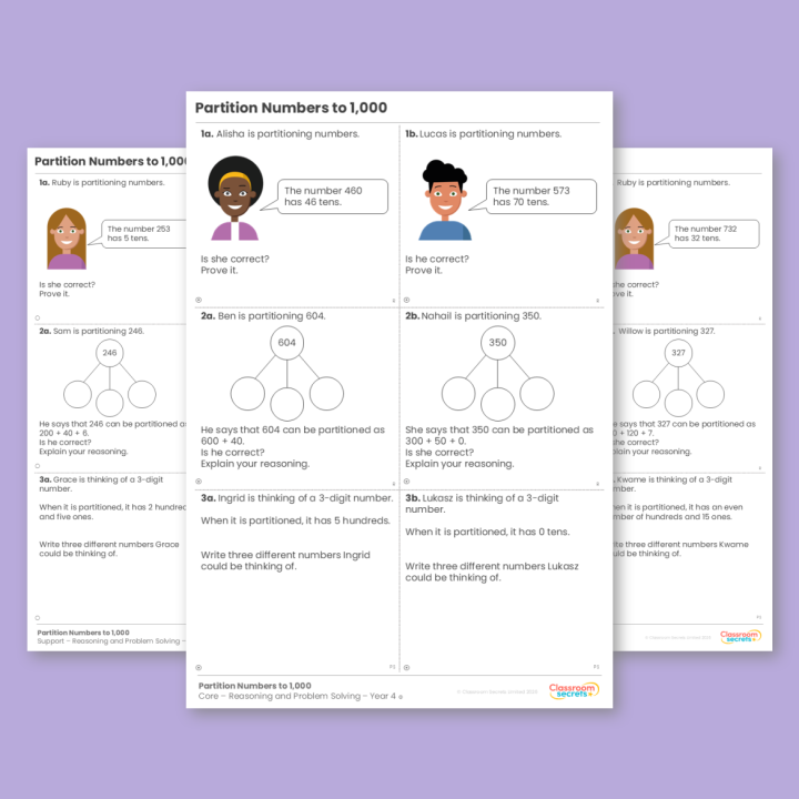 Year 4 Partition Numbers to 1,000 Reasoning and Problem Solving