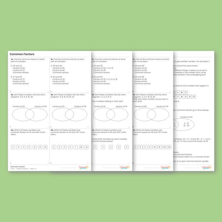 Year 5 Common Factors Multiplication and Division A Varied Fluency