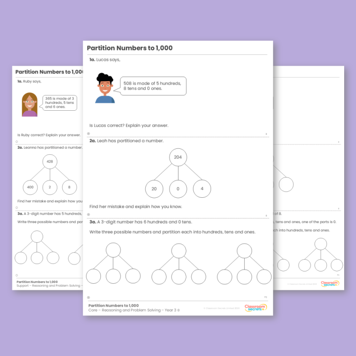Year 3 Partition Numbers to 1,000 Place Value Reasoning and Problem Solving