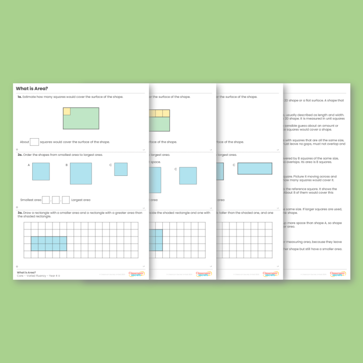 Year 4 What is Area? Area Varied Fluency