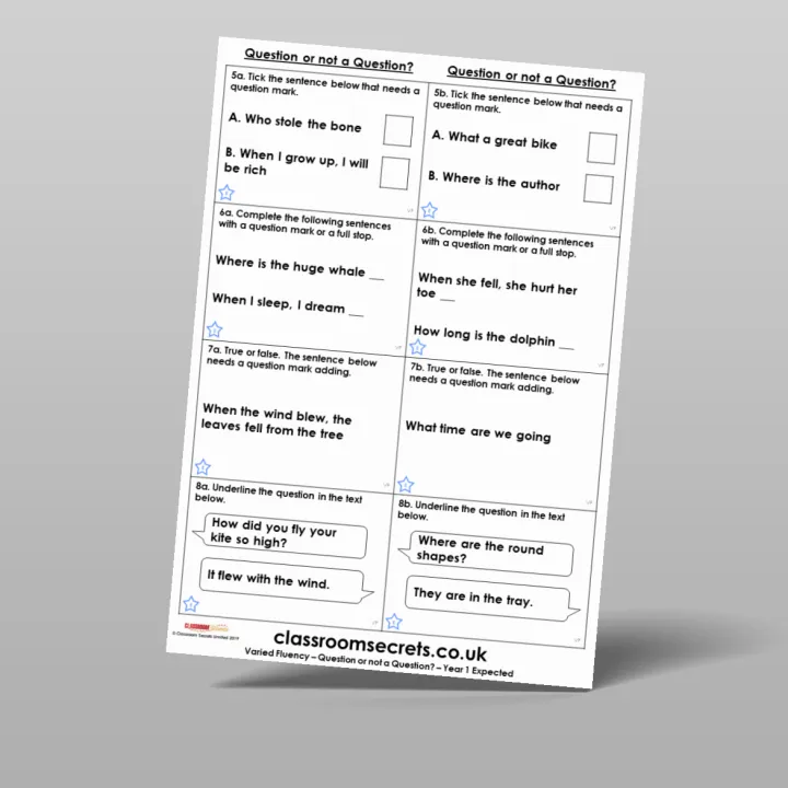 Classroom Secrets | Collection Page Year 1 Question or not a Question?