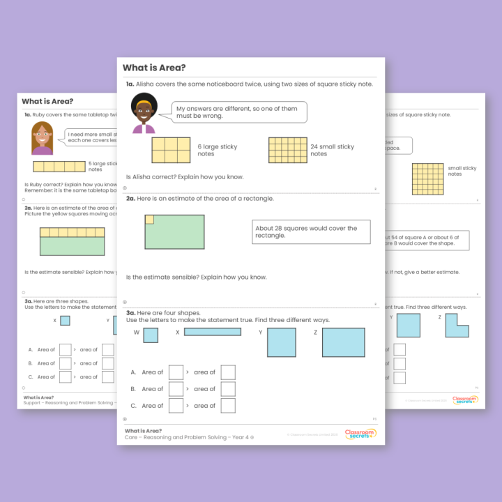 Year 4 What is Area? Area Reasoning and Problem Solving