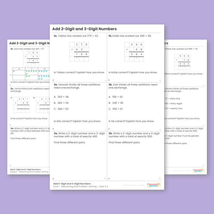 Year 3 Add 2-Digit and 3-Digit Numbers Addition and Subtraction Reasoning and Problem Solving