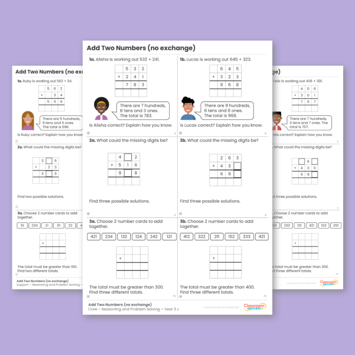 Year 3 Add Two Numbers (No Exchange) Addition and Subtraction Reasoning and Problem Solving
